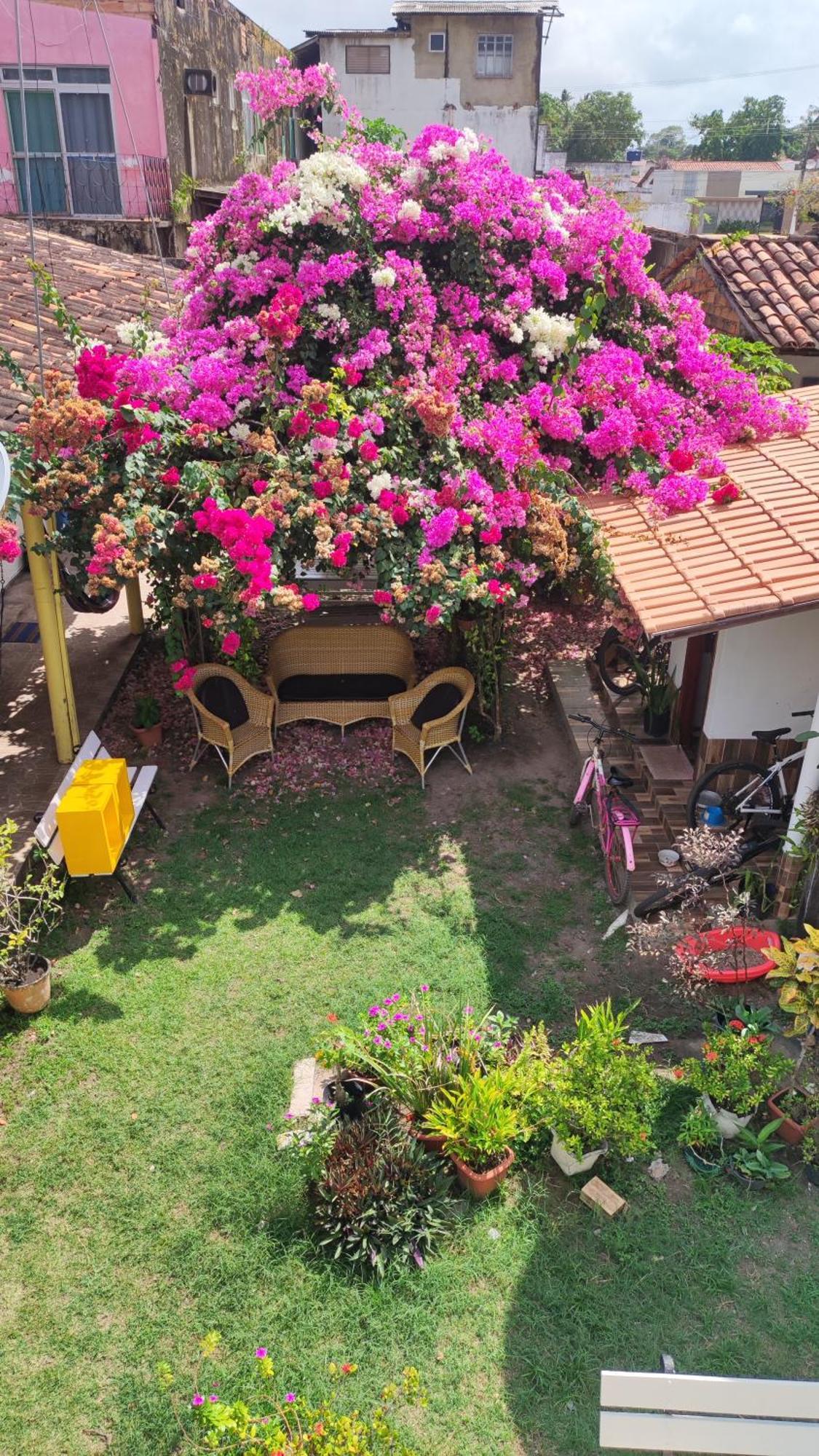 Pousada Solar Encanto Do Marajo Соуре Екстериор снимка
